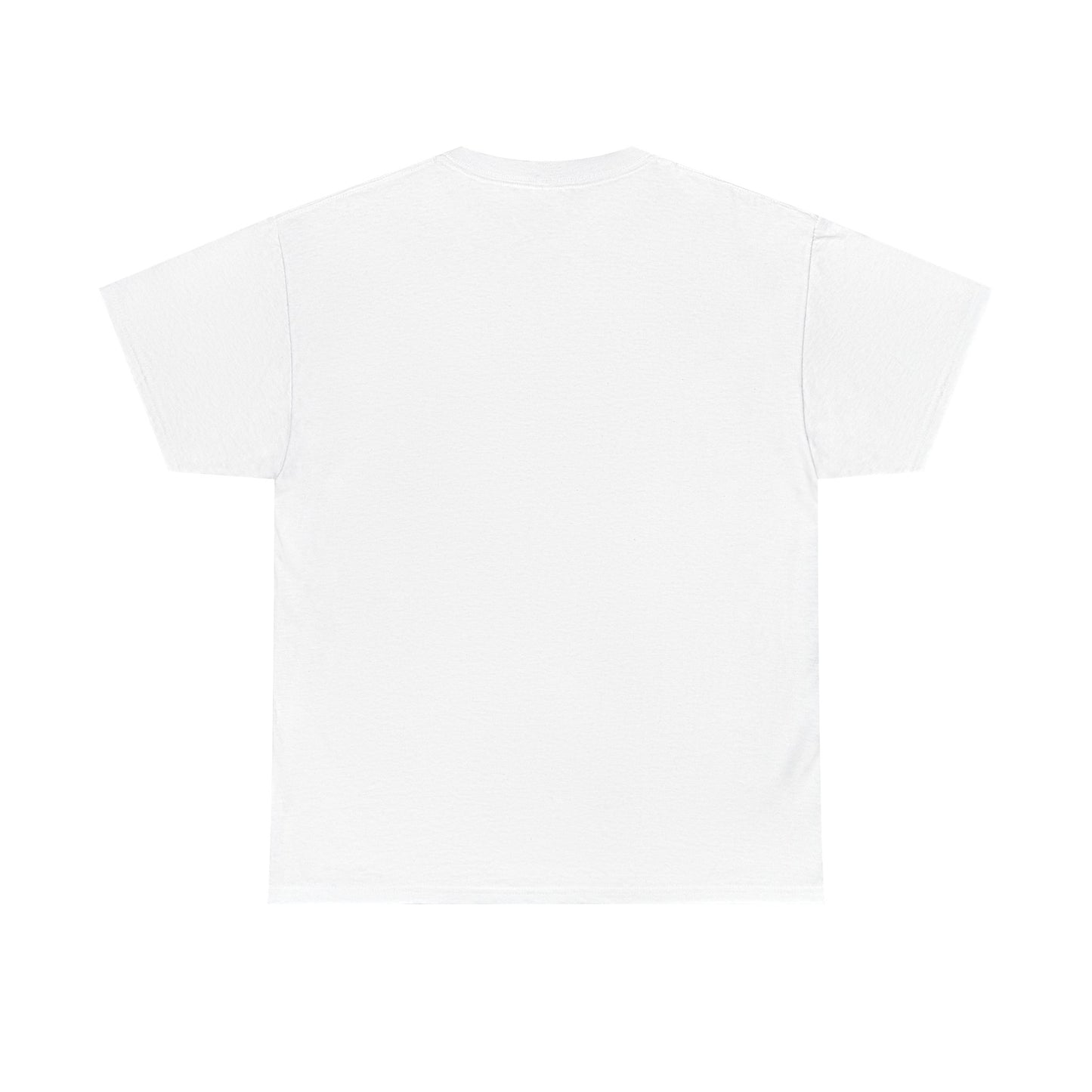 Gulf of Mexico Unisex Heavy Cotton Tee - Vintage Map Design