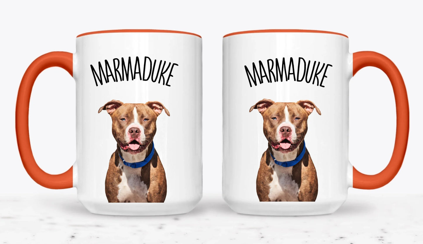 15oz Orange 2-Mug SM