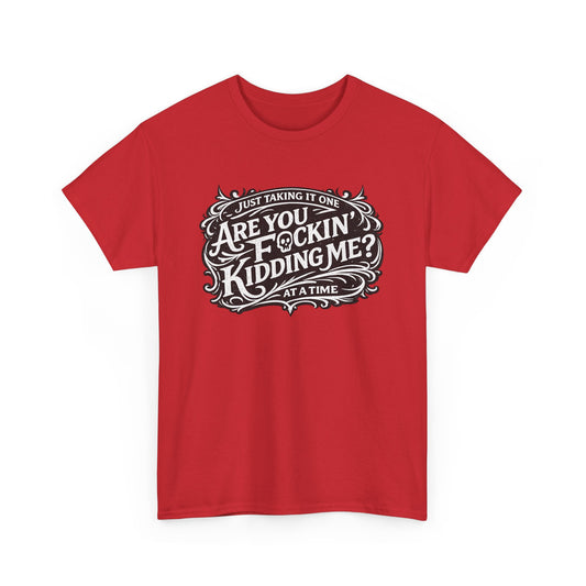 Just Taking It One “Are You F*ing Kidding Me” at a Time – Funny Sarcastic T-Shirt**