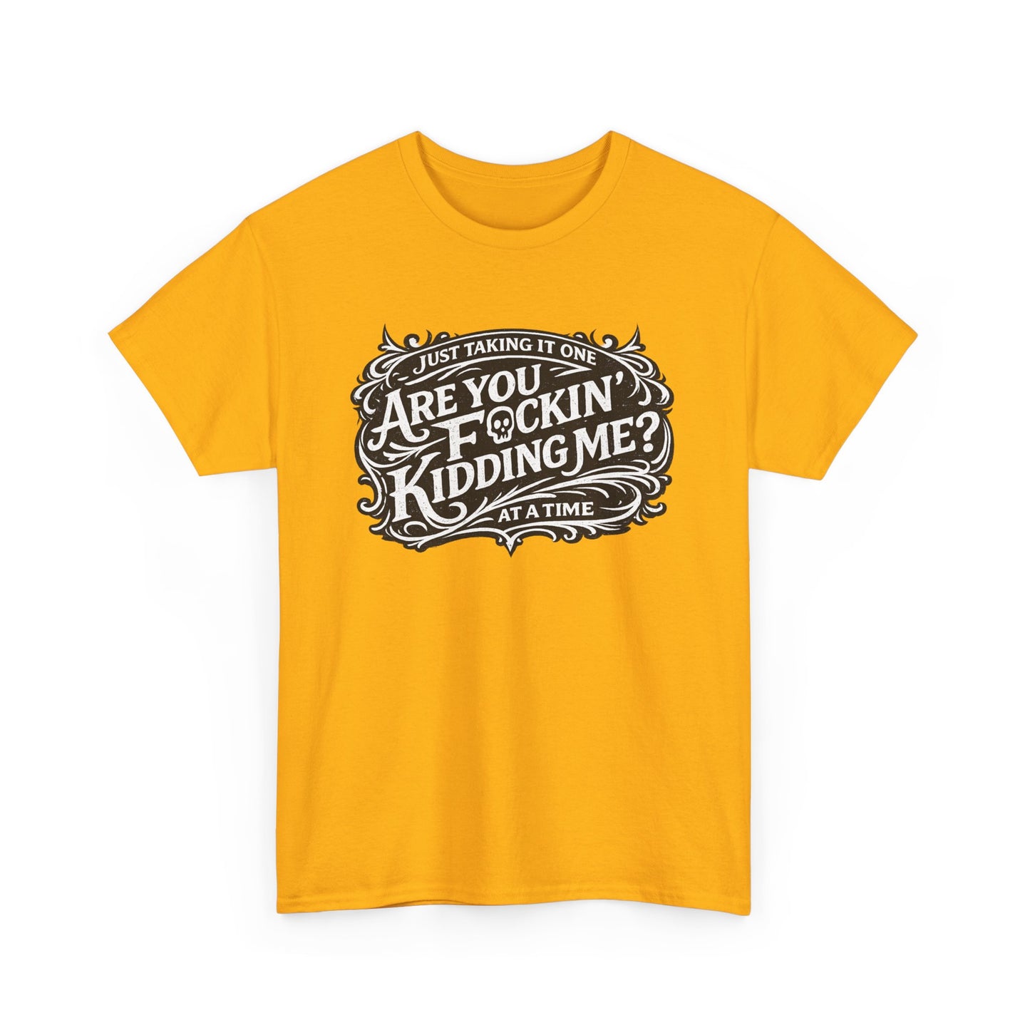 Just Taking It One “Are You F*ing Kidding Me” at a Time – Funny Sarcastic T-Shirt**